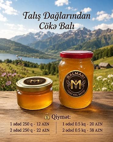 ud hindi şərbəti qiyməti: Talış Dağlarından Cökə tərkibli Bal. Təbii və Qatqısız olmasına — 1