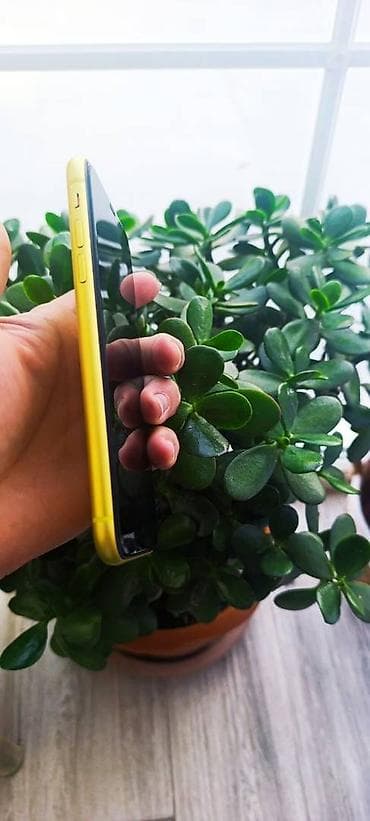 ikinci el iphone 16: IPhone 11, 64 GB, Sarı, Zəmanət, Barmaq izi, Simsiz şarj — 2