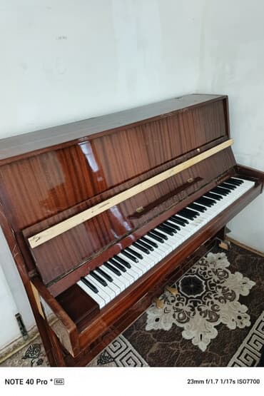 Hec bir problemi yoxdur. Seliqeli pianodur ciddi sexsler yazsin