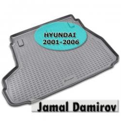 x6 qiymeti: Novline hhyundai elantra 2001-2006 ucun baqaj ortuyu "aileron" — 1