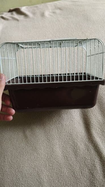 en ucuz gümüş: Ideal hamster qəfəsidi çox az işlənib deyə ucuz satıram.Real alıcıya — 3