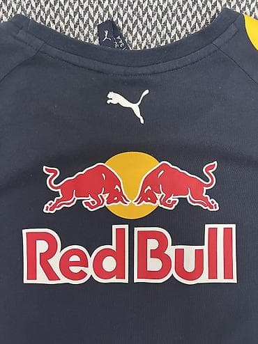 футболка: Мужская футболка, Puma, M, цвет - Синий — 10