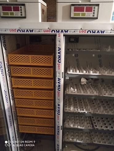 Konteynerlər: Inqibator satılır 1000 dene yumurta tutur işlək vəziyətədi — 1