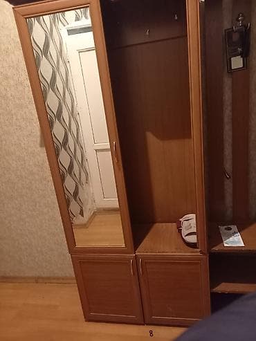 İşlənmiş, 2 qapılı, Güzgülü, Qəhvəyi, Digər material, Açılan, Düz dolab