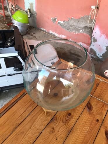 тап аз кошки: 1ədədi ünvan ələt qəsəbəsi — 2