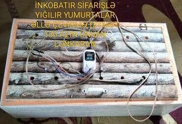 Bütün növ quşlaq üçün