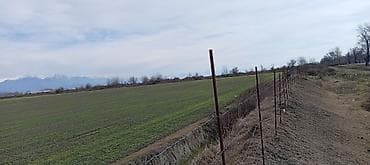 neftciler satilan evler: Kənd təsərrüfatı — 6