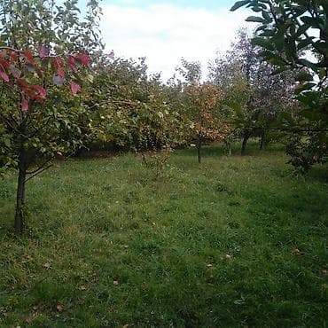 50 manata kiraye evler: 37 sot, Biznes üçün, Bələdiyyə, Müqavilə — 7