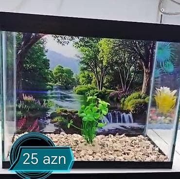 Akvaryum dekor seti - Şüşə akvarium üçün dekorativ fon: çay və meşə