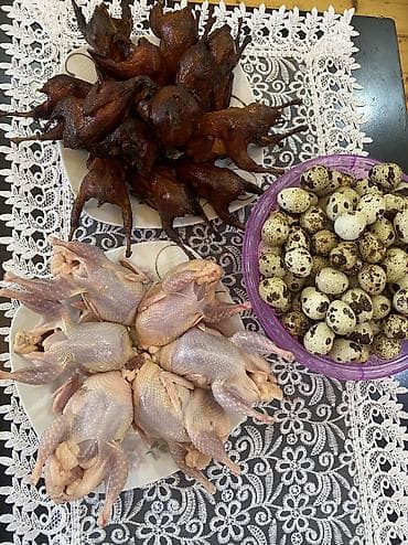 cin bildircin: Texas sortu bildirçin, təmizlənmiş və diri şekilde, qiymətlər çəkidən — 3