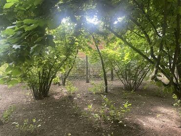 купить дом в баку хырдалан: 3 соток, Для бизнеса, Собственник, Купчая, Договор — 2