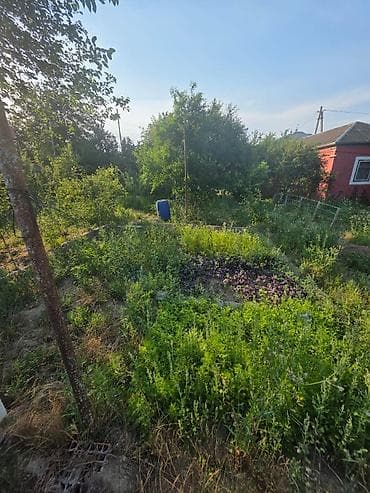 basavik satisi: 5 sot, Kupça (Çıxarış) — 2