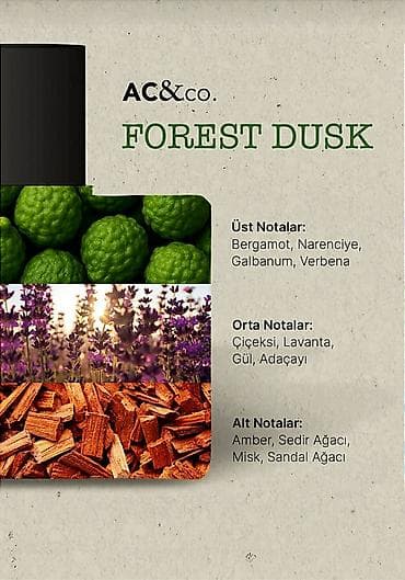 AC&co. Forest Dusk – Eau de Parfum, 50 ml Kişilər üçün — 2