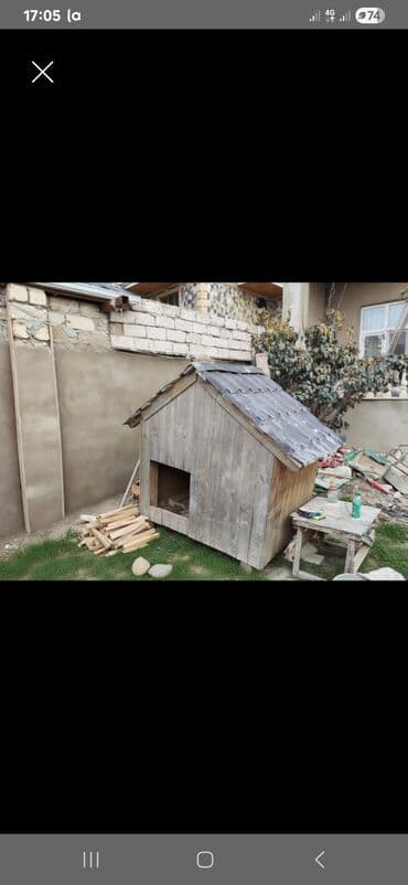 it yuvası satilir: Taxta it evi - Material: möhkəm taxta karkas, taxta üzlük - Dam — 1