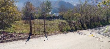 9 sot, Tikinti, Mülkiyyətçi, Kupça (Çıxarış)