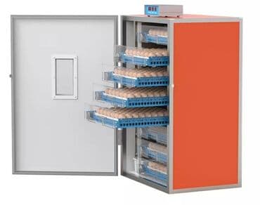 İnkubatorlar: İnkubator inqubator istenilen ölçüde tam afdamat yığıram bütün növ — 1