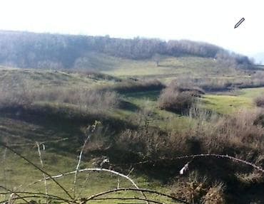 qara torpaq satışı: 92 sot, Kənd təsərrüfatı, Mülkiyyətçi, Kupça (Çıxarış) — 6