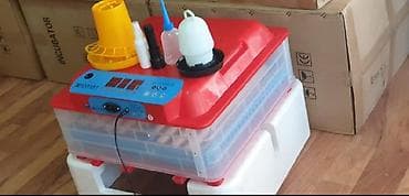 Inkubator inqibator inkibator inqubator 63 yumurtaliq zavod — 3