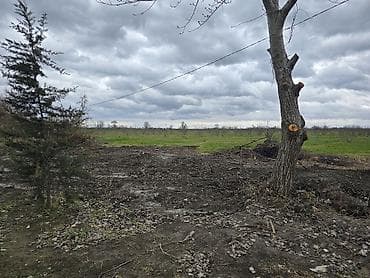 hovuzlu bağ evi: Kənd təsərrüfatı, Texniki pasport — 2