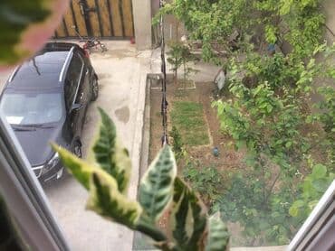 şuşa şəhərciyi: 3 otaqlı, 112 kv. m, Orta təmir — 6