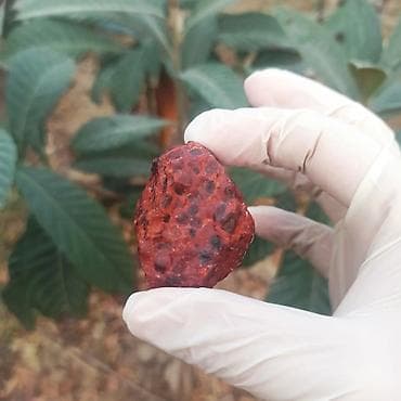 saatlar type 0: Nadir Təbii Daş Kolleksiyası Satılır | Mineral və Kristallar (Raw) – — 1