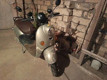 купить мопед в баку: Skuter – klassik dizaynlı şəhər modeli Xüsusiyyətlər: - Gövdə rəngi — 2