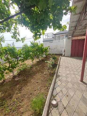 250 kv. m, 7 otaqlı, Artezian quyusu, İnternet, Telefon — 4