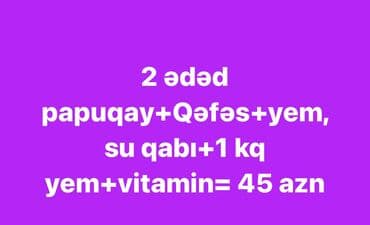 tovuz quşu qiymeti: Papuqay paketi - 2 ədəd papuqay - Qəfəs - Yem qabı və su qabı - 1 kq — 1