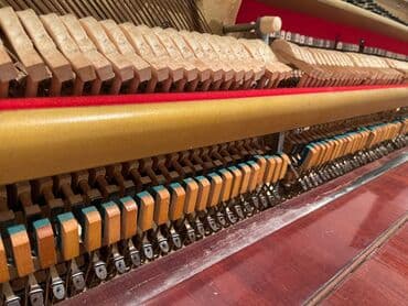 belarus pianino: Belarus piano — 6