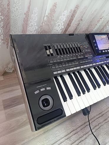 Музыкальные инструменты: Korg Pa3X Professional Arranger – 61 klaviş aletlerin her biri tam — 8