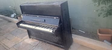 Piano, Belarus, Akustik, İşlənmiş, Ödənişli çatdırılma