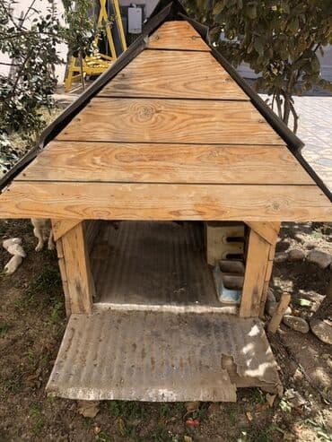 купить домик для кота: Taxta it evi - Material: Təbii taxta gövdə, ikitərəfli metal profilli — 2