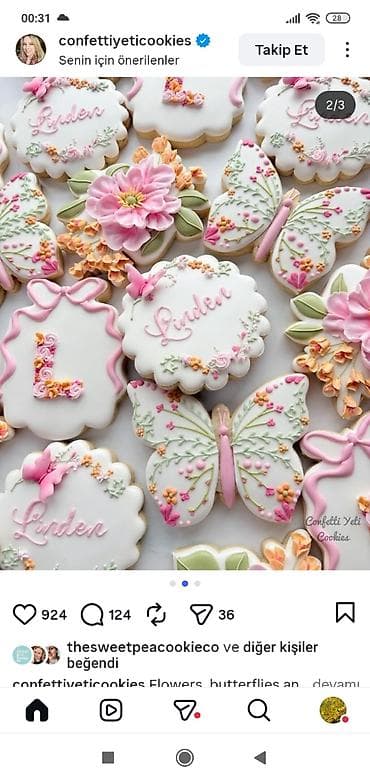 Ləpələr: Şəkərli bəzəkli zəncəfil/ləziz peçenye setləri – tematik və — 5