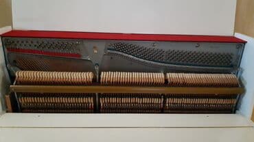 массаж с выездом баку: Pianino köklənməsi — 1