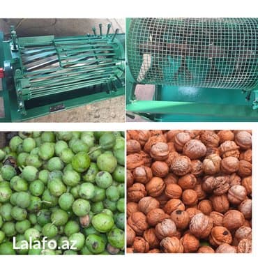 qumlama aparati qiymeti: Qoz temizleyen aparat aparatla saatda 800 kq qoz temizlemek mumkundu — 1