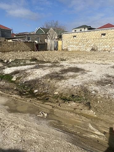 yasamal rayon: 3 sot, Kənd təsərrüfatı, Kupça (Çıxarış) — 6