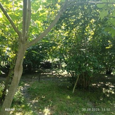 аренда и продажа недвижимости: 25 sot, Mülkiyyətçi, Kupça (Çıxarış) — 8