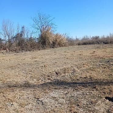 Qarajlar: 30 sot, Tikinti, Mülkiyyətçi, Bələdiyyə — 5