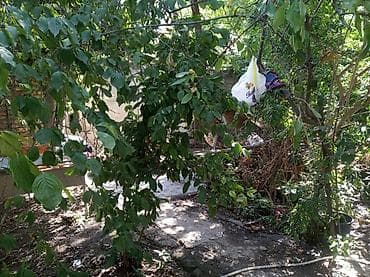 kirdit evler: Qaraçuxur qəs. 3 otaqlı, 35 kv. m, Kredit yoxdur, Təmirsiz — 3