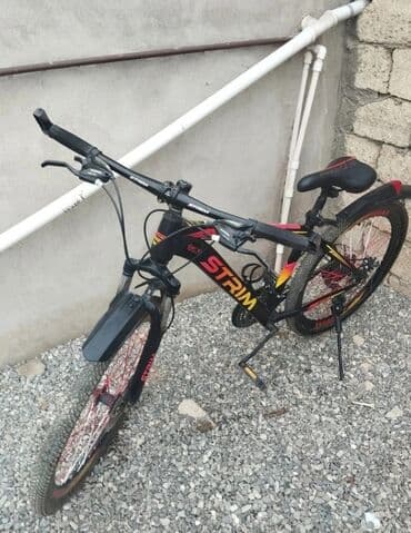 трехколесный велосипед для взрослых в баку: Dağ velosipedi Strim, 26" — 2