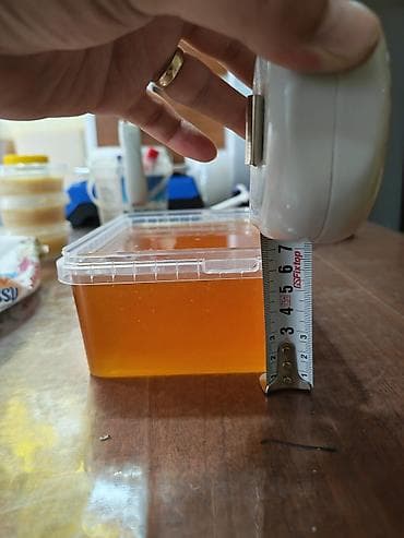 plasmas qutu: Plastik qida qabı – düzbucaqlı, şəffaf, qapaqlı Karobkada 330 eded — 5