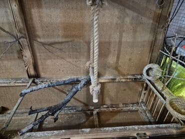 quş dami: Taxta quş volyeri/kafesi Ölçülər (şəkildə göstərilib): - Uzunluğu — 5