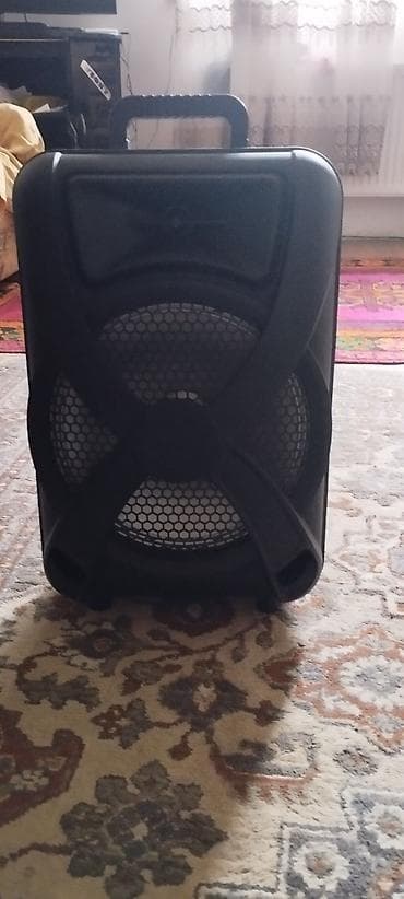 Daşına bilən güclü səsucaldan - Korpus: möhkəm plastik, ön hissədə