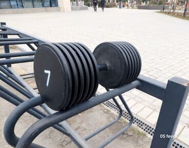 tarix test toplusu 1 ci hisse pdf yuklə: Qantellər, Çəki: 5 kq — 1