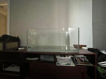 аквариум баку: Salam alekum 146 litr akvaryum boş halda satılır çatdırılma var cızıq — 1