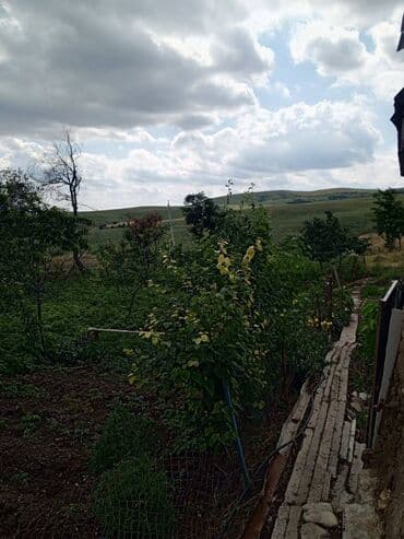 1 otaqlı kirayə: Şamaxı, 80 kv. m, 3 otaqlı — 20