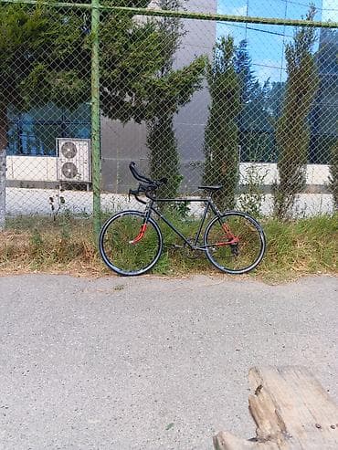 velasiped: Velo tam ideal vezyetdedir, cox suretli çevik yungul Velosipeddir — 6
