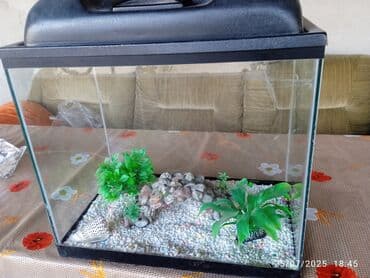 akvarium bitkileri: Dördbucaq akvarium, Boş, 35 l, Ünvandan götürmə — 3