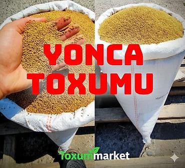 balaca limonun adi: Yerli yonca toxumu Təmizlənmiş toxumdu,uzun ömürlü,enli yarpaqboyu — 1