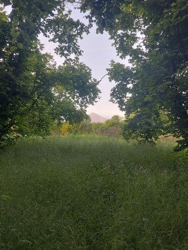 дом в баку купить: 20 соток, Для сельского хозяйства, Возможен обмен, Купчая — 3